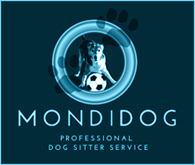 Mondidog Dog Sitter Dog Walking Lido di Jesolo